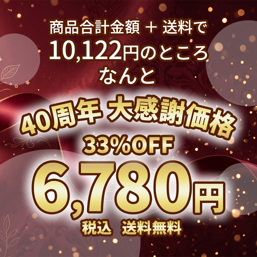 40周年記念 ハンバーグオールスターBOX