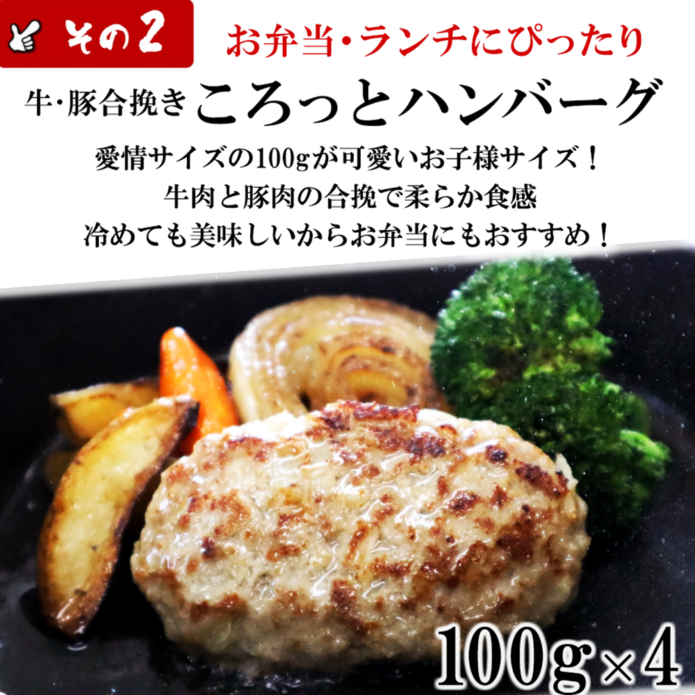 40周年記念 ハンバーグオールスターBOX